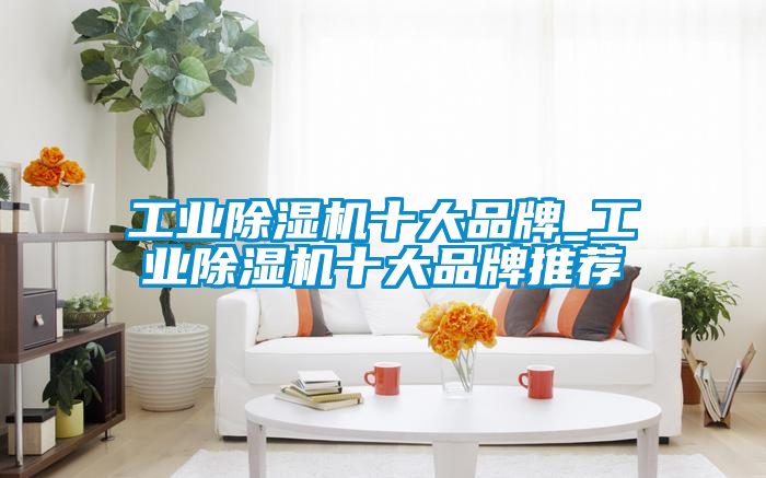 工业樱桃TV在线观看机十大品牌_工业樱桃TV在线观看机十大品牌推荐