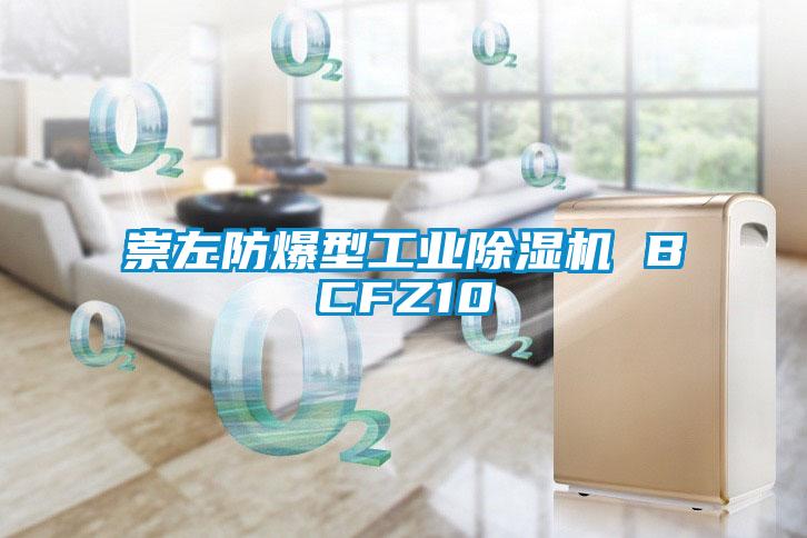 崇左防爆型工业樱桃TV在线观看机 BCFZ10