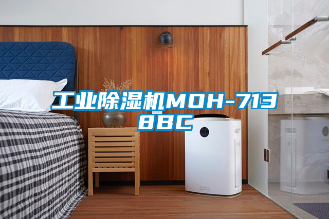 工业樱桃TV在线观看机MOH-7138BC