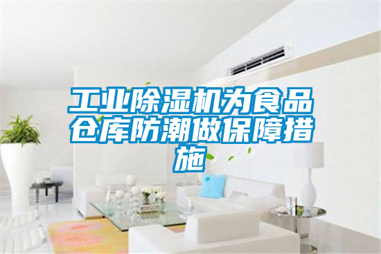 工业樱桃TV在线观看机为食品仓库防潮做保障措施