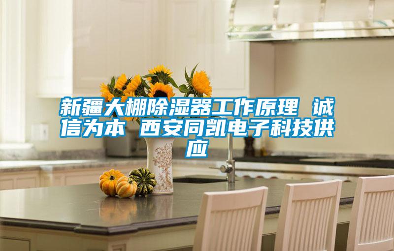 新疆大棚樱桃TV在线观看器工作原理 诚信为本 西安同凯电子科技供应