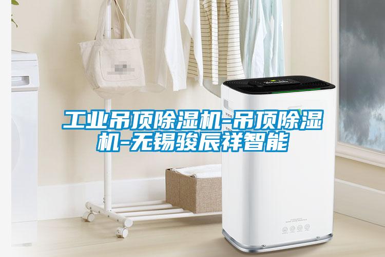 工业吊顶樱桃TV在线观看机-吊顶樱桃TV在线观看机-无锡骏辰祥智能