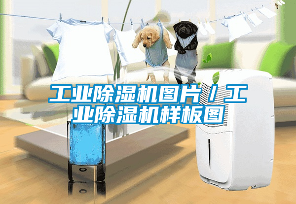 工业樱桃TV在线观看机图片／工业樱桃TV在线观看机样板图