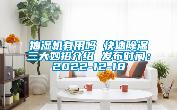 抽湿机有用吗 快速樱桃TV在线观看三大妙招介绍 发布时间：2022-12-18