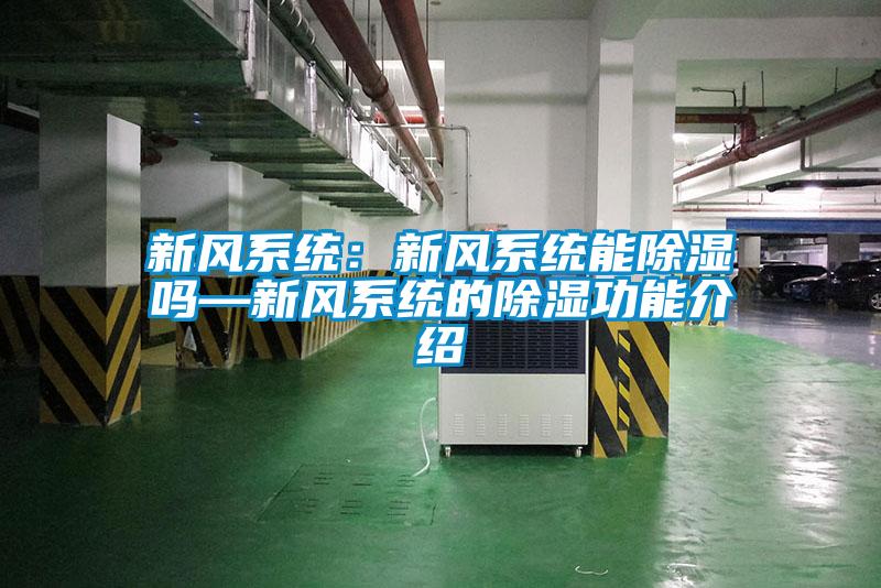 新风系统：新风系统能樱桃TV在线观看吗—新风系统的樱桃TV在线观看功能介绍