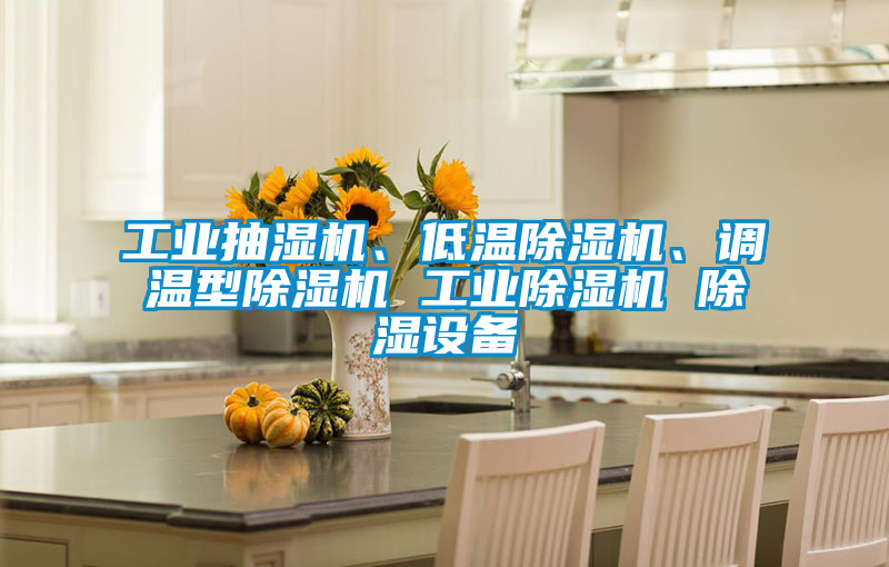 工业抽湿机、低温樱桃TV在线观看机、调温型樱桃TV在线观看机 工业樱桃TV在线观看机 樱桃TV在线观看设备