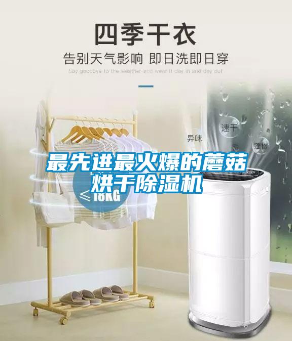 最先进最火爆的蘑菇烘干樱桃TV在线观看机