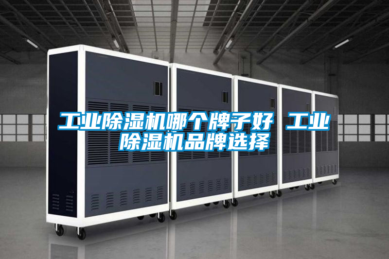 工业樱桃TV在线观看机哪个牌子好 工业樱桃TV在线观看机品牌选择