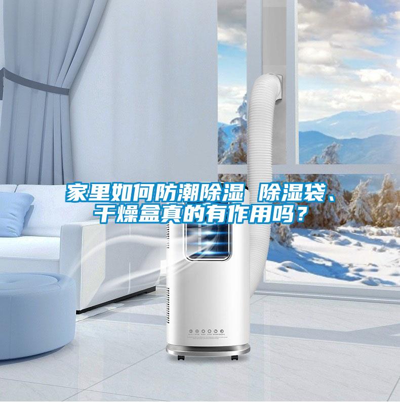 家里如何防潮樱桃TV在线观看 樱桃TV在线观看袋、干燥盒真的有作用吗？