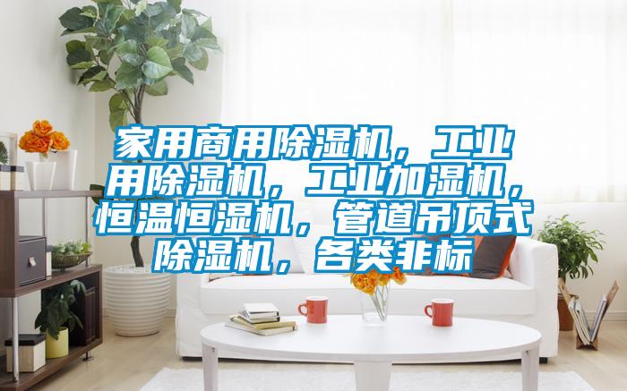 家用商用樱桃TV在线观看机，工业用樱桃TV在线观看机，工业加湿机，恒温恒湿机，管道吊顶式樱桃TV在线观看机，各类非标