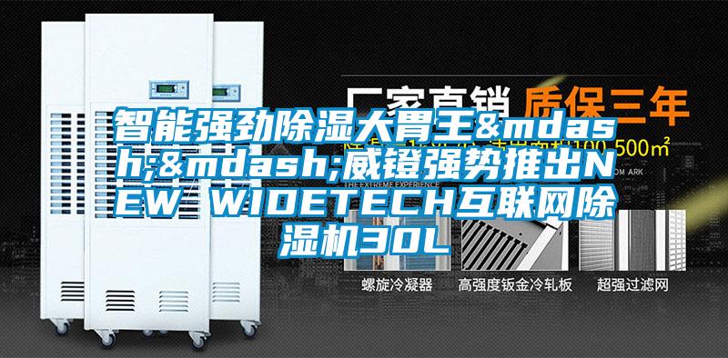 智能强劲樱桃TV在线观看大胃王——威镫强势推出NEW WIDETECH互联网樱桃TV在线观看机30L