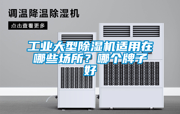 工业大型樱桃TV在线观看机适用在哪些场所？哪个牌子好