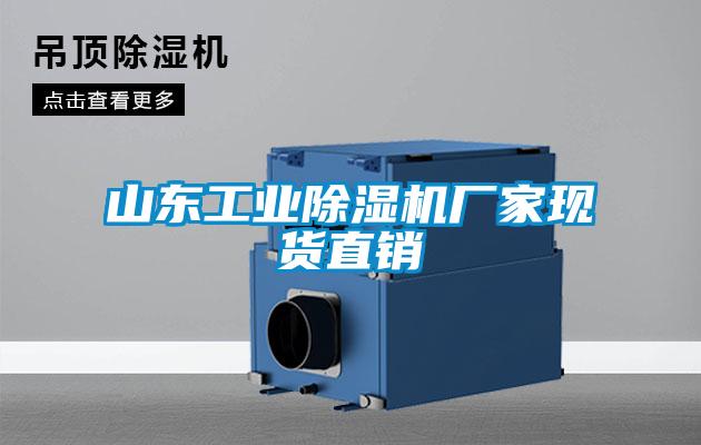 山东工业樱桃TV在线观看机厂家现货直销