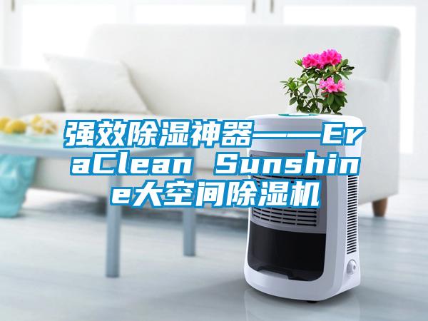 强效樱桃TV在线观看神器――EraClean Sunshine大空间樱桃TV在线观看机