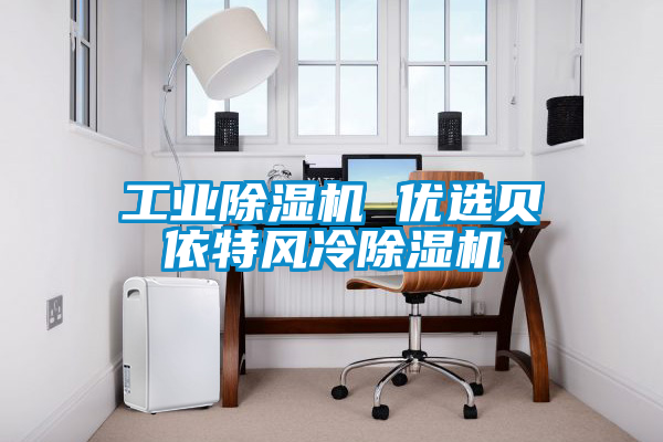 工业樱桃TV在线观看机 优选贝依特风冷樱桃TV在线观看机