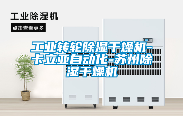 工业转轮樱桃TV在线观看干燥机-卡立亚自动化-苏州樱桃TV在线观看干燥机