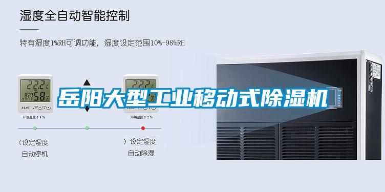 岳阳大型工业移动式樱桃TV在线观看机