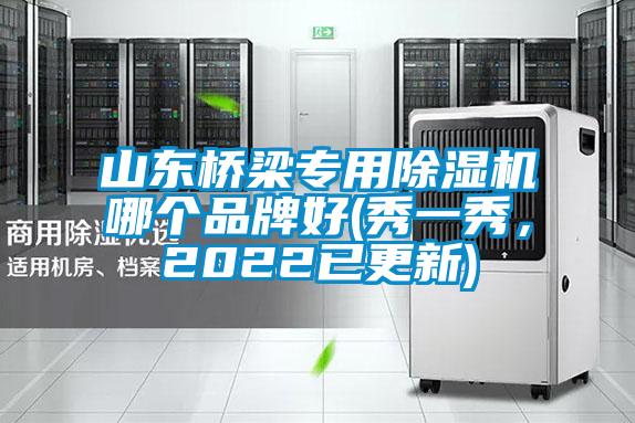 山东桥梁专用樱桃TV在线观看机哪个品牌好(秀一秀，2022已更新)
