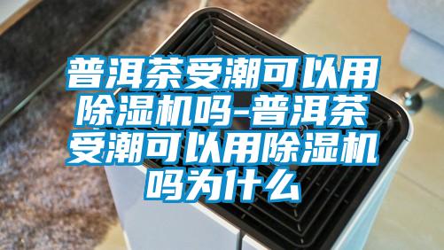 普洱茶受潮可以用樱桃TV在线观看机吗-普洱茶受潮可以用樱桃TV在线观看机吗为什么