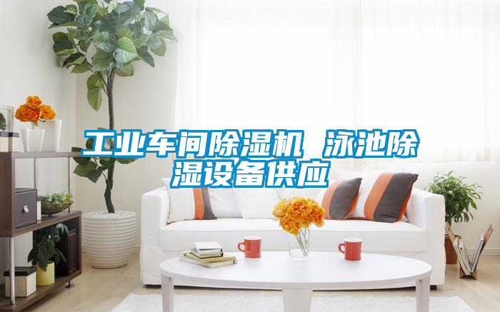 工业车间樱桃TV在线观看机 泳池樱桃TV在线观看设备供应