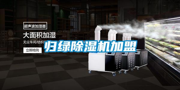 归绿樱桃TV在线观看机加盟