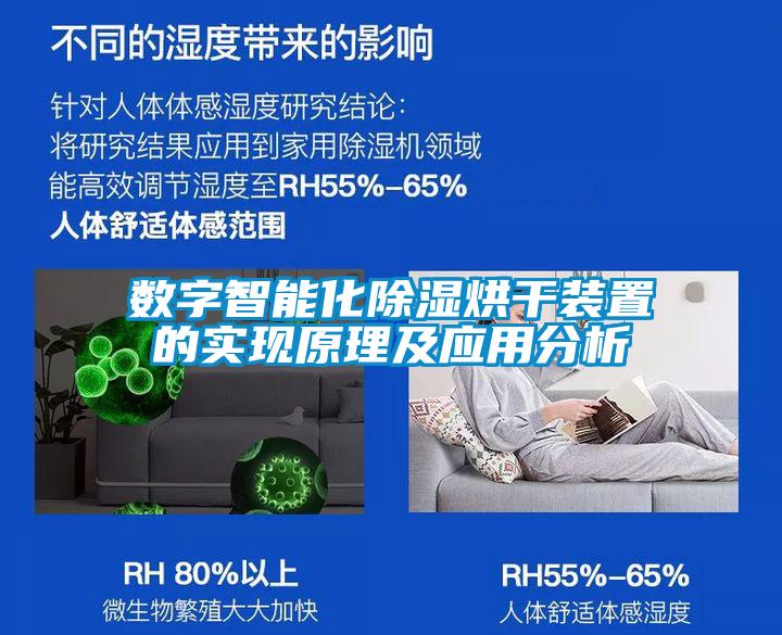 数字智能化樱桃TV在线观看烘干装置的实现原理及应用分析
