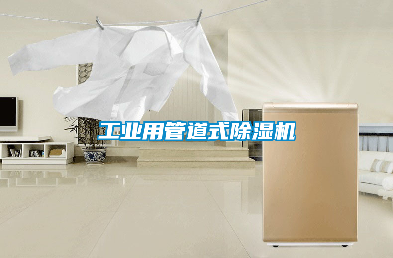 工业用管道式樱桃TV在线观看机