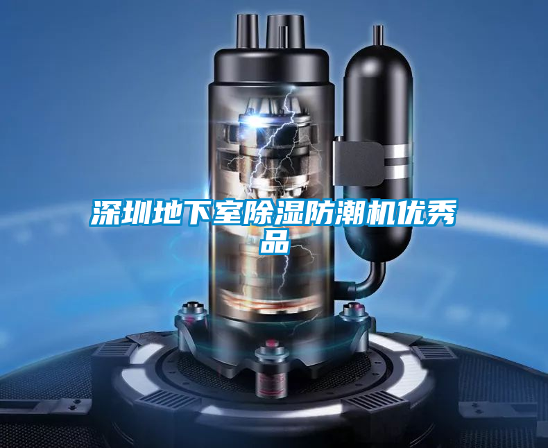 深圳地下室樱桃TV在线观看防潮机优秀品
