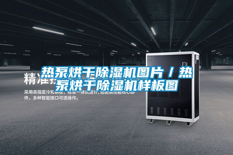 热泵烘干樱桃TV在线观看机图片／热泵烘干樱桃TV在线观看机样板图