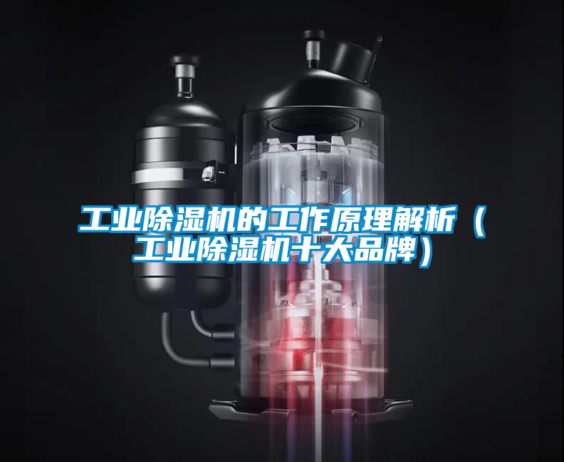 工业樱桃TV在线观看机的工作原理解析（工业樱桃TV在线观看机十大品牌）