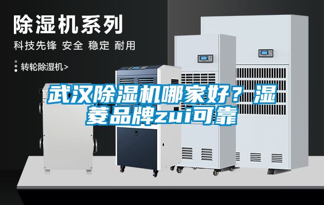 武汉樱桃TV在线观看机哪家好？湿菱品牌zui可靠