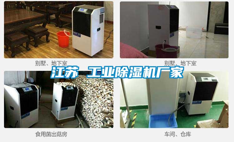 江苏 工业樱桃TV在线观看机厂家
