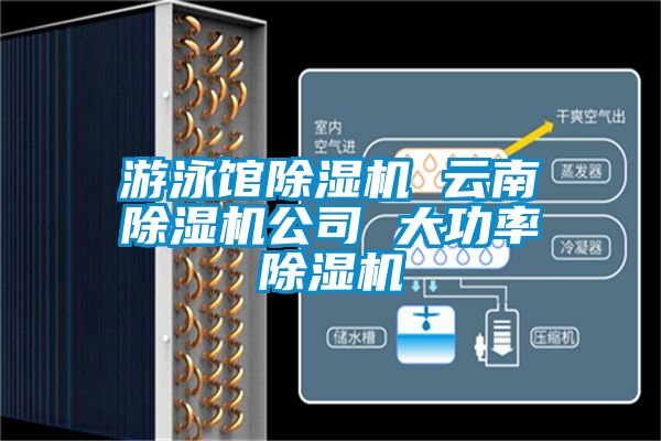 游泳馆樱桃TV在线观看机 云南樱桃TV在线观看机公司 大功率樱桃TV在线观看机