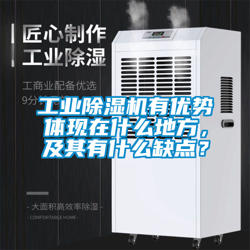 工业樱桃TV在线观看机有优势体现在什么地方，及其有什么缺点？