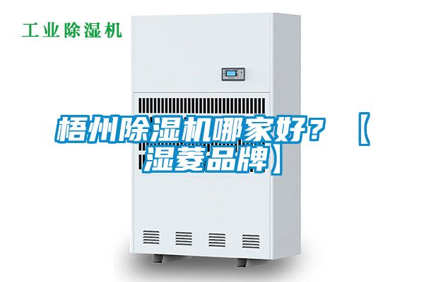 梧州樱桃TV在线观看机哪家好？【湿菱品牌】