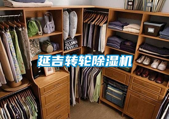 延吉转轮樱桃TV在线观看机