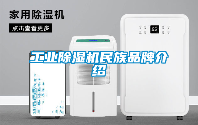 工业樱桃TV在线观看机民族品牌介绍