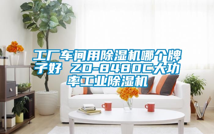 工厂车间用樱桃TV在线观看机哪个牌子好 ZD-8480C大功率工业樱桃TV在线观看机