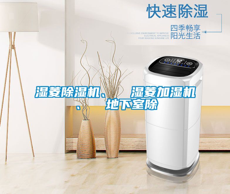 湿菱樱桃TV在线观看机、  湿菱加湿机、  地下室除