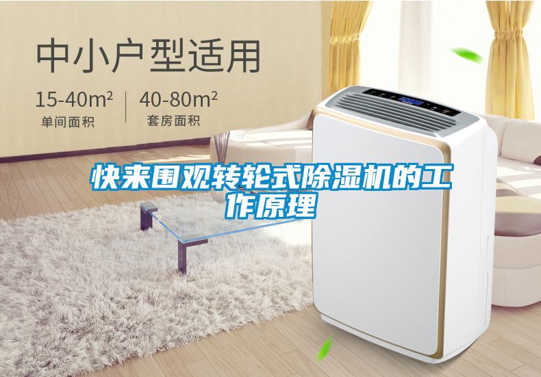 快来围观转轮式樱桃TV在线观看机的工作原理