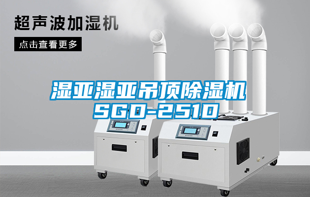 湿亚湿亚吊顶樱桃TV在线观看机 SGD-251D
