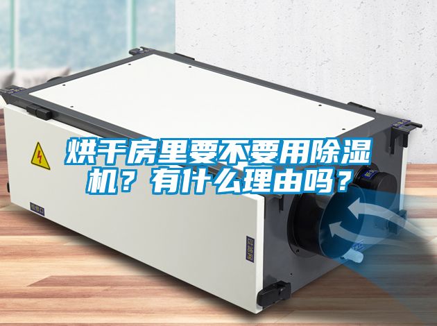 烘干房里要不要用樱桃TV在线观看机？有什么理由吗？