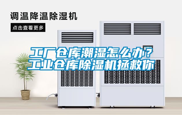 工厂仓库潮湿怎么办？工业仓库樱桃TV在线观看机拯救你