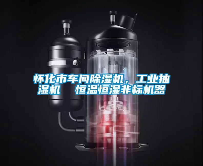 怀化市车间樱桃TV在线观看机，工业抽湿机  恒温恒湿非标机器