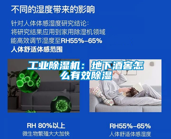 工业樱桃TV在线观看机：地下酒窖怎么有效樱桃TV在线观看
