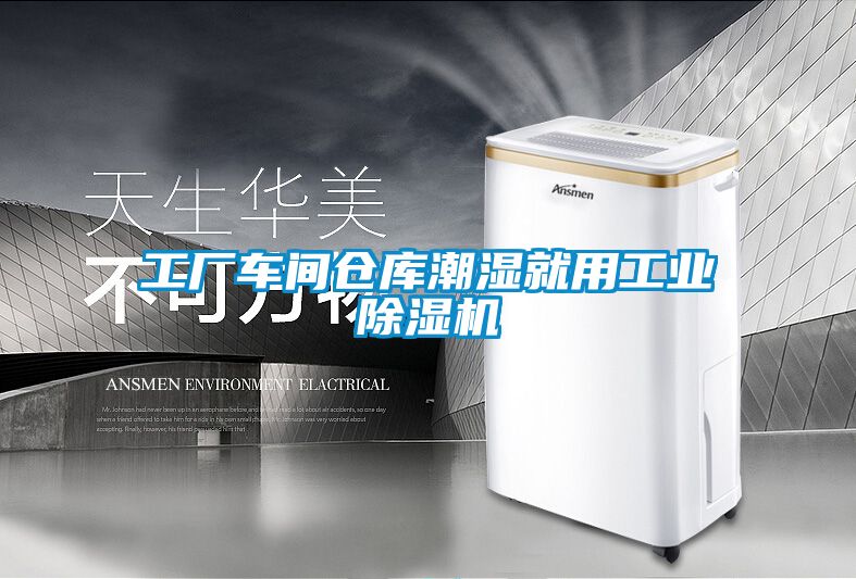 工厂车间仓库潮湿就用工业樱桃TV在线观看机