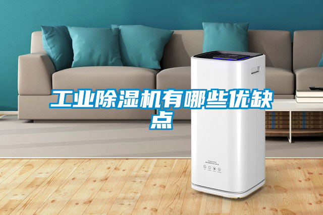 工业樱桃TV在线观看机有哪些优缺点