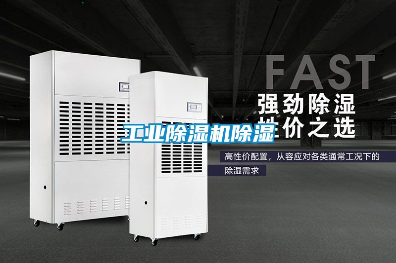 工业樱桃TV在线观看机樱桃TV在线观看