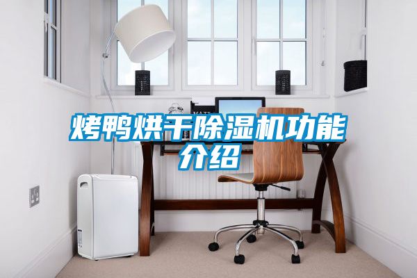 烤鸭烘干樱桃TV在线观看机功能介绍