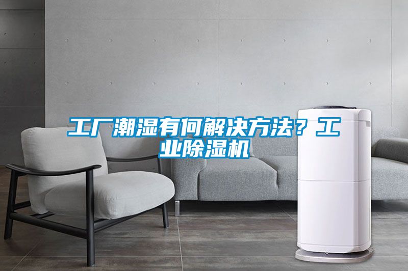 工厂潮湿有何解决方法？工业樱桃TV在线观看机